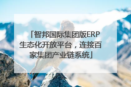 智邦国际集团版ERP生态化开放平台，连接百家集团产业链系统