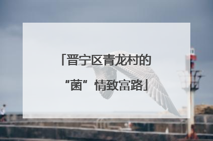 晋宁区青龙村的“菌”情致富路
