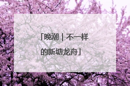 晚潮｜不一样的新塘龙舟