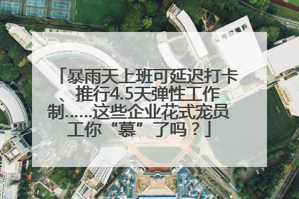 暴雨天上班可延迟打卡、推行4.5天弹性工作制……这些企业花式宠员工你“慕”了吗？