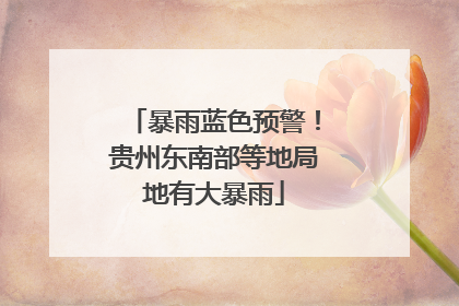 暴雨蓝色预警！贵州东南部等地局地有大暴雨
