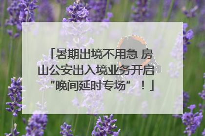 暑期出境不用急 房山公安出入境业务开启“晚间延时专场”！