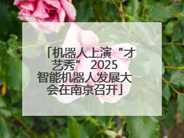 机器人上演“才艺秀” 2025智能机器人发展大会在南京召开