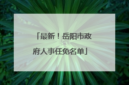 最新！岳阳市政府人事任免名单