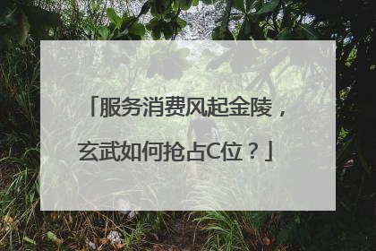 服务消费风起金陵，玄武如何抢占C位？