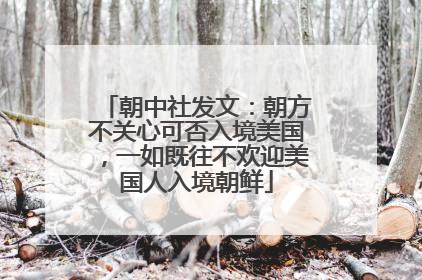 朝中社发文：朝方不关心可否入境美国，一如既往不欢迎美国人入境朝鲜