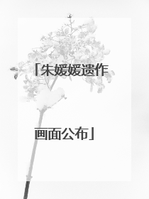 朱媛媛遗作画面公布