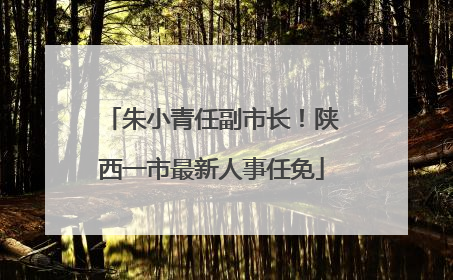 朱小青任副市长！陕西一市最新人事任免