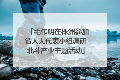 毛伟明在株洲参加省人大代表小组调研北斗产业主题活动