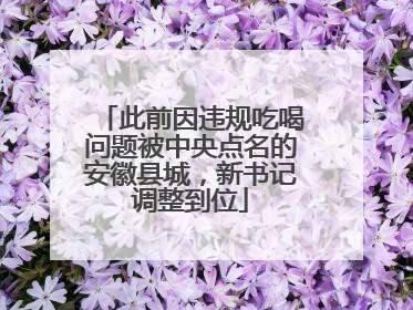 此前因违规吃喝问题被中央点名的安徽县城，新书记调整到位