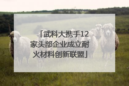 武科大携手12家头部企业成立耐火材料创新联盟
