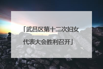 武昌区第十二次妇女代表大会胜利召开