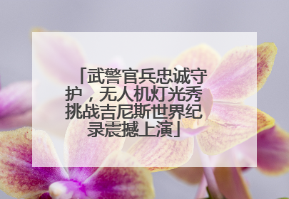 武警官兵忠诚守护，无人机灯光秀挑战吉尼斯世界纪录震撼上演