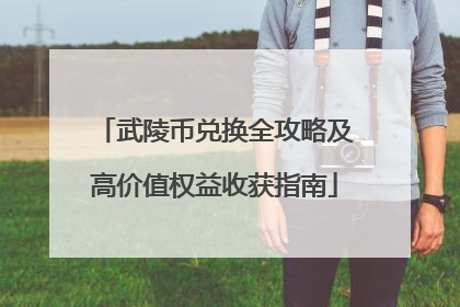 武陵币兑换全攻略及高价值权益收获指南