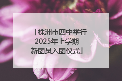株洲市四中举行2025年上学期新团员入团仪式