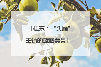 桂东：“头雁”王镇的蓝图美景