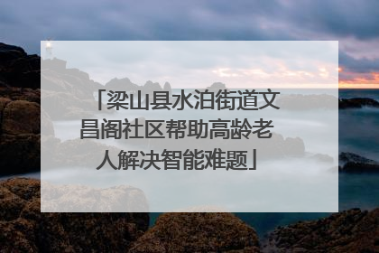 梁山县水泊街道文昌阁社区帮助高龄老人解决智能难题
