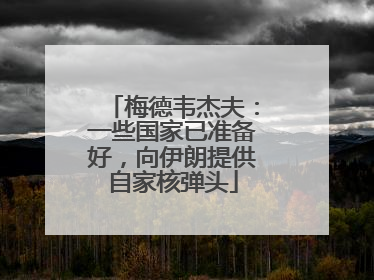 梅德韦杰夫：一些国家已准备好，向伊朗提供自家核弹头
