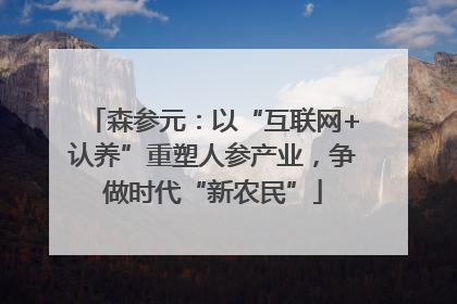森参元：以“互联网+认养”重塑人参产业，争做时代“新农民”