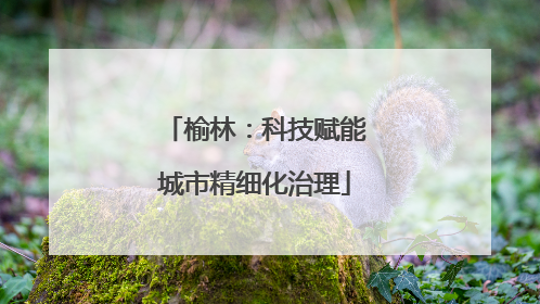 榆林：科技赋能城市精细化治理
