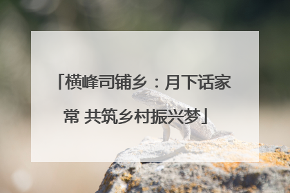 横峰司铺乡：月下话家常 共筑乡村振兴梦
