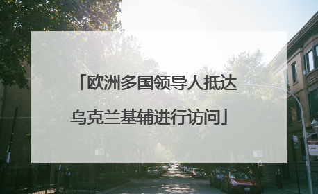 欧洲多国领导人抵达乌克兰基辅进行访问