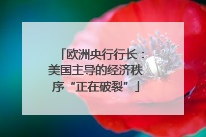 欧洲央行行长：美国主导的经济秩序“正在破裂”