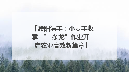 濮阳清丰：小麦丰收季 “一条龙”作业开启农业高效新篇章