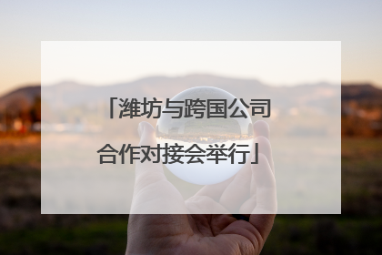 潍坊与跨国公司合作对接会举行