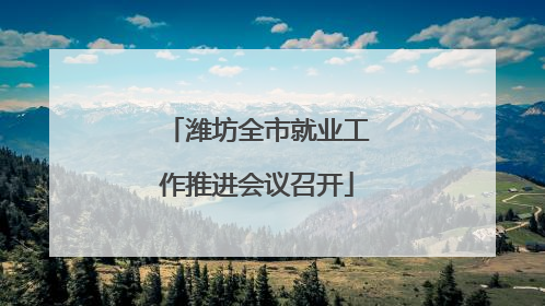 潍坊全市就业工作推进会议召开