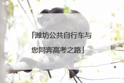 潍坊公共自行车与您同奔高考之路