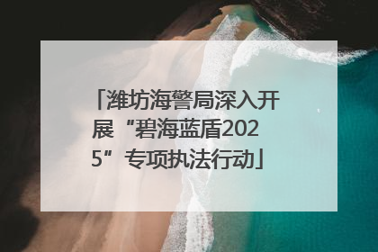 潍坊海警局深入开展“碧海蓝盾2025”专项执法行动