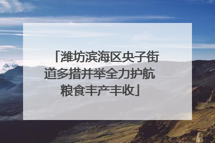 潍坊滨海区央子街道多措并举全力护航粮食丰产丰收