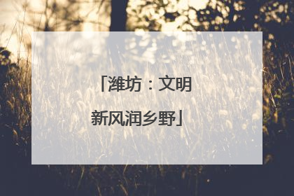 潍坊：文明新风润乡野