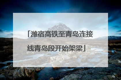 潍宿高铁至青岛连接线青岛段开始架梁