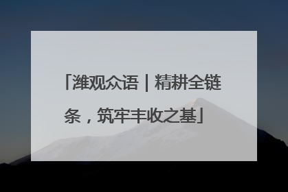 潍观众语｜精耕全链条，筑牢丰收之基