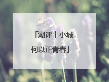潮评丨小城何以正青春