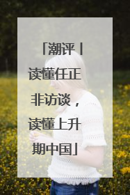 潮评丨读懂任正非访谈，读懂上升期中国