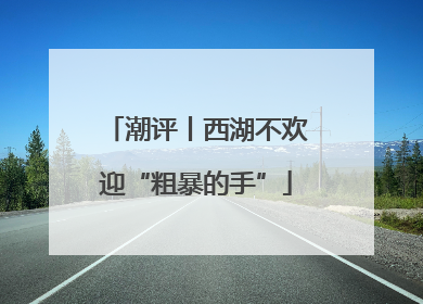 潮评丨西湖不欢迎“粗暴的手”