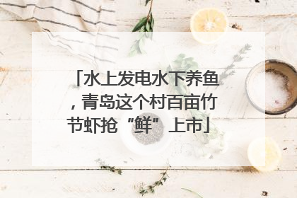 水上发电水下养鱼，青岛这个村百亩竹节虾抢“鲜”上市