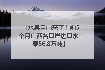 水果自由来了！前5个月广西各口岸进口水果56.8万吨