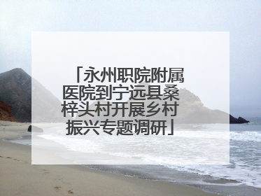 永州职院附属医院到宁远县桑梓头村开展乡村振兴专题调研