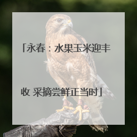 永春：水果玉米迎丰收 采摘尝鲜正当时