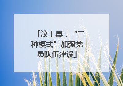 汶上县：“三种模式”加强党员队伍建设