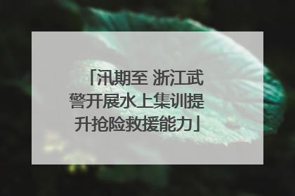 汛期至 浙江武警开展水上集训提升抢险救援能力