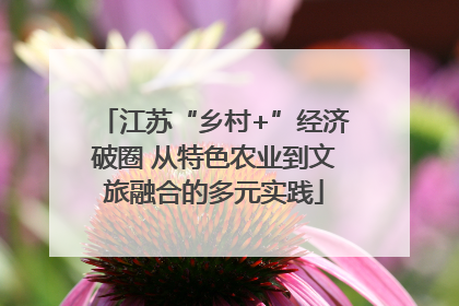 江苏“乡村+”经济破圈 从特色农业到文旅融合的多元实践