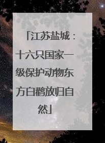 江苏盐城：十六只国家一级保护动物东方白鹳放归自然