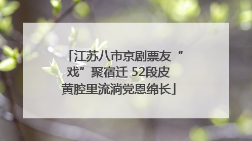 江苏八市京剧票友“戏”聚宿迁 52段皮黄腔里流淌党恩绵长