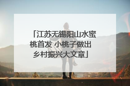 江苏无锡阳山水蜜桃首发 小桃子做出乡村振兴大文章