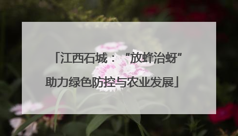 江西石城：“放蜂治蚜”助力绿色防控与农业发展